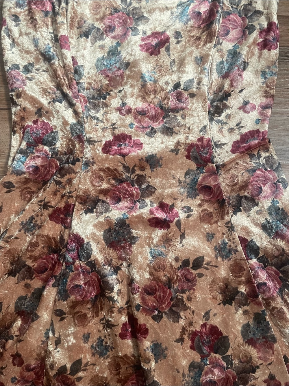Vintage Rampage Floral Velvet Mini Dress in Champagne with Burgundy Roses Size 5 - Picture 5 of 6